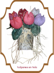 big_tulipanes_tela.fw.png